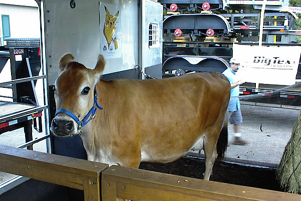 promiseland-dairy-trailer-3